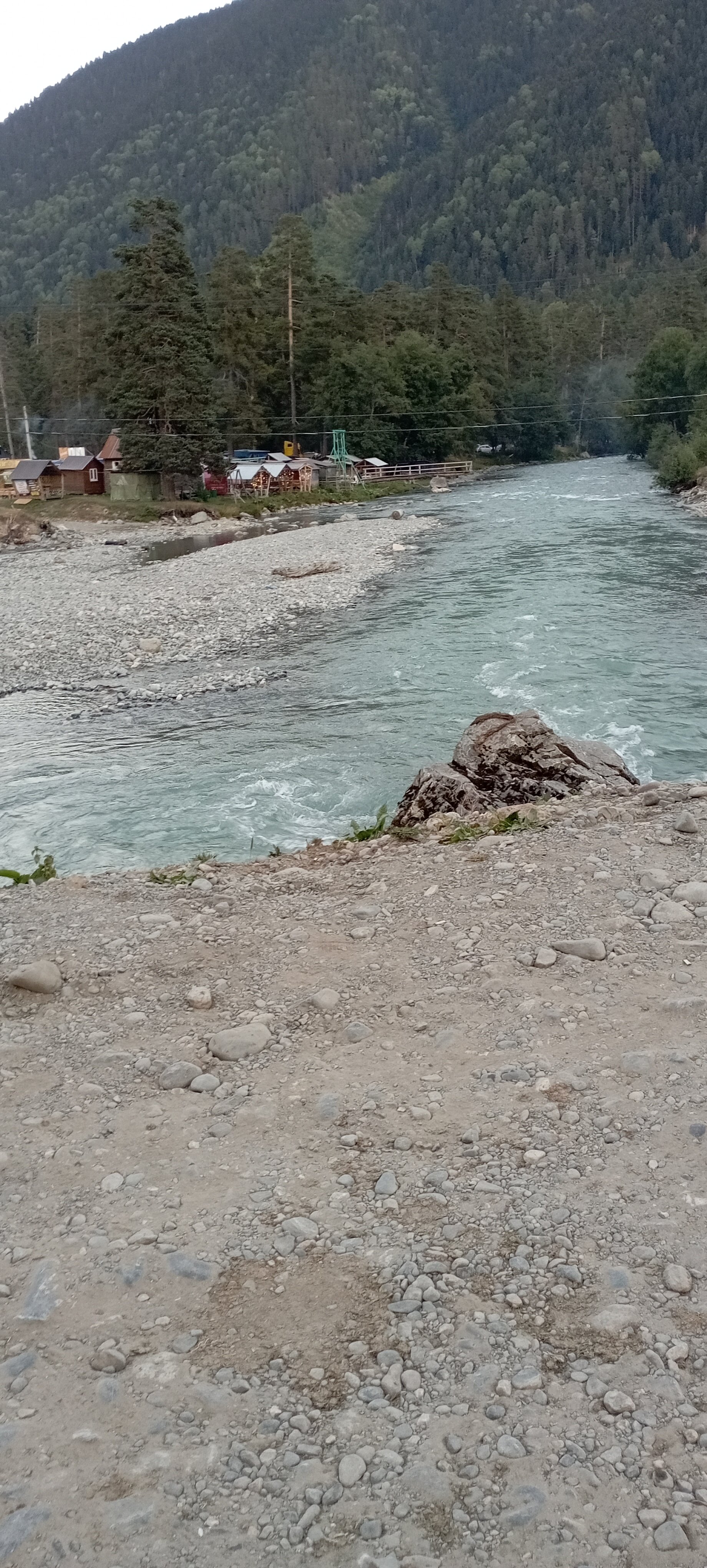 Фото Сосновый бор