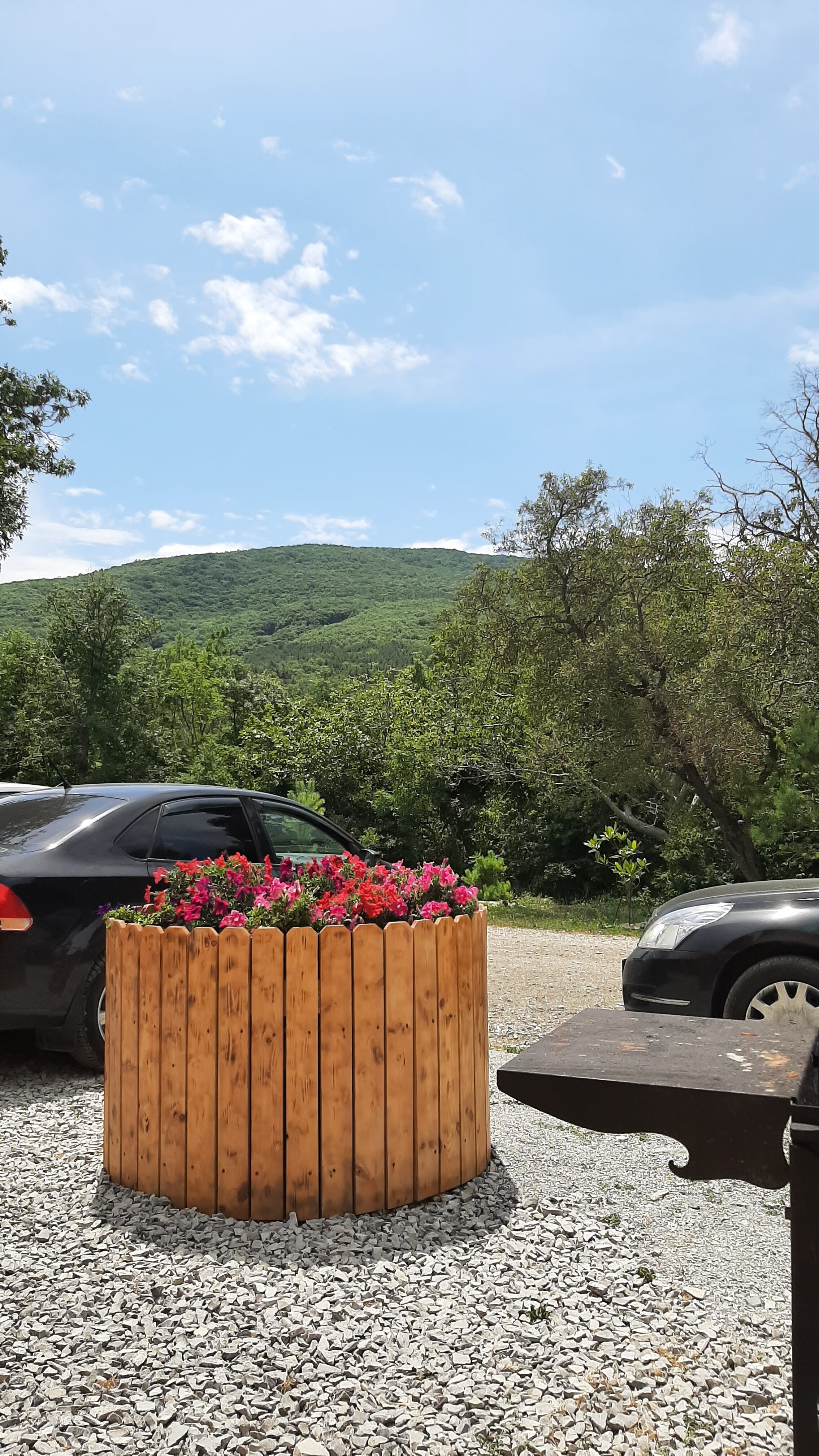 Фото Мандарин