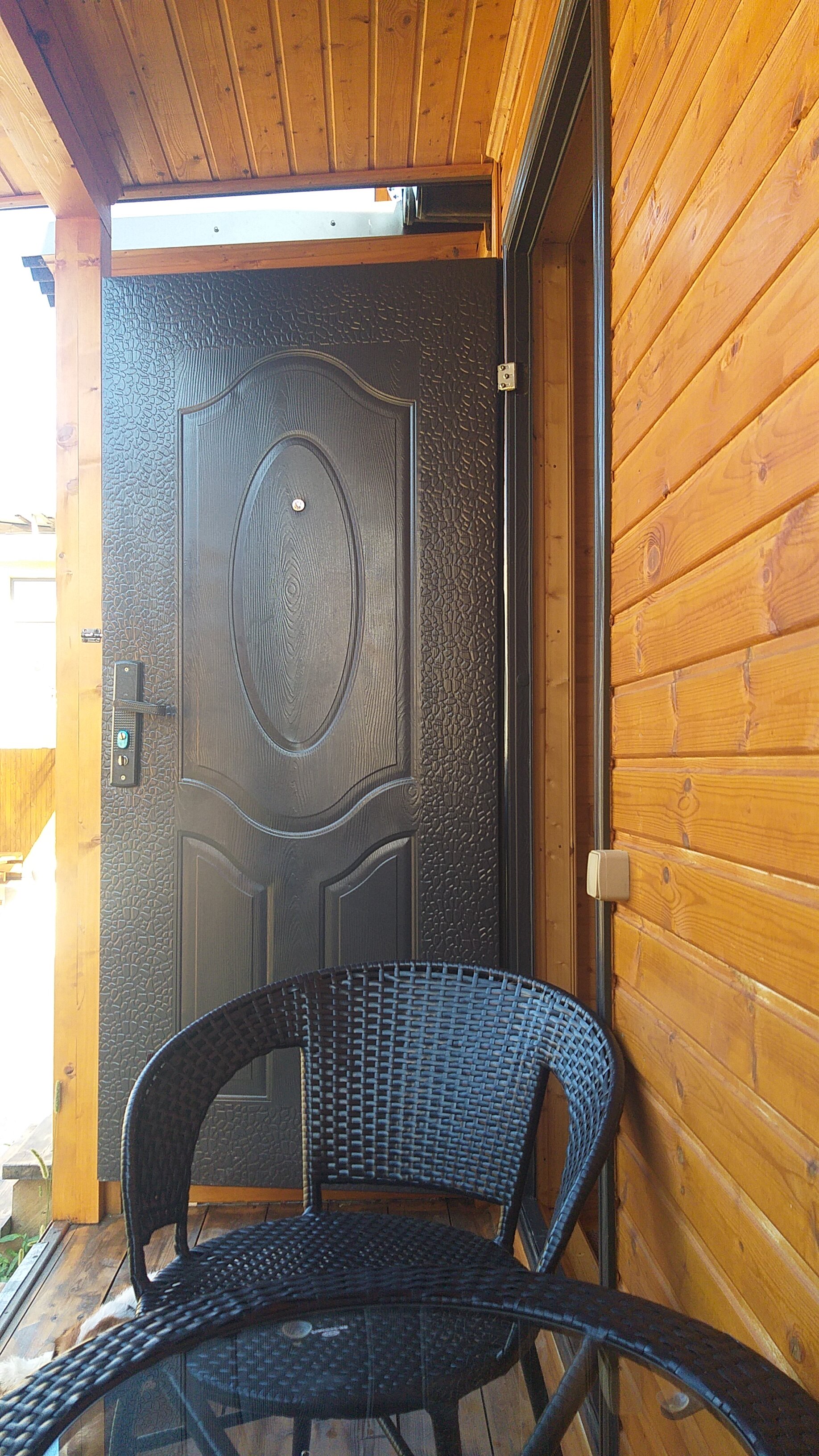 Фото Дельфин