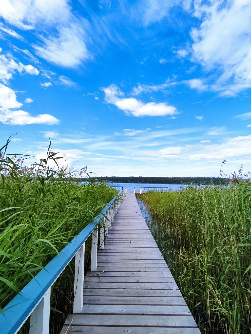 Фото Вохотка