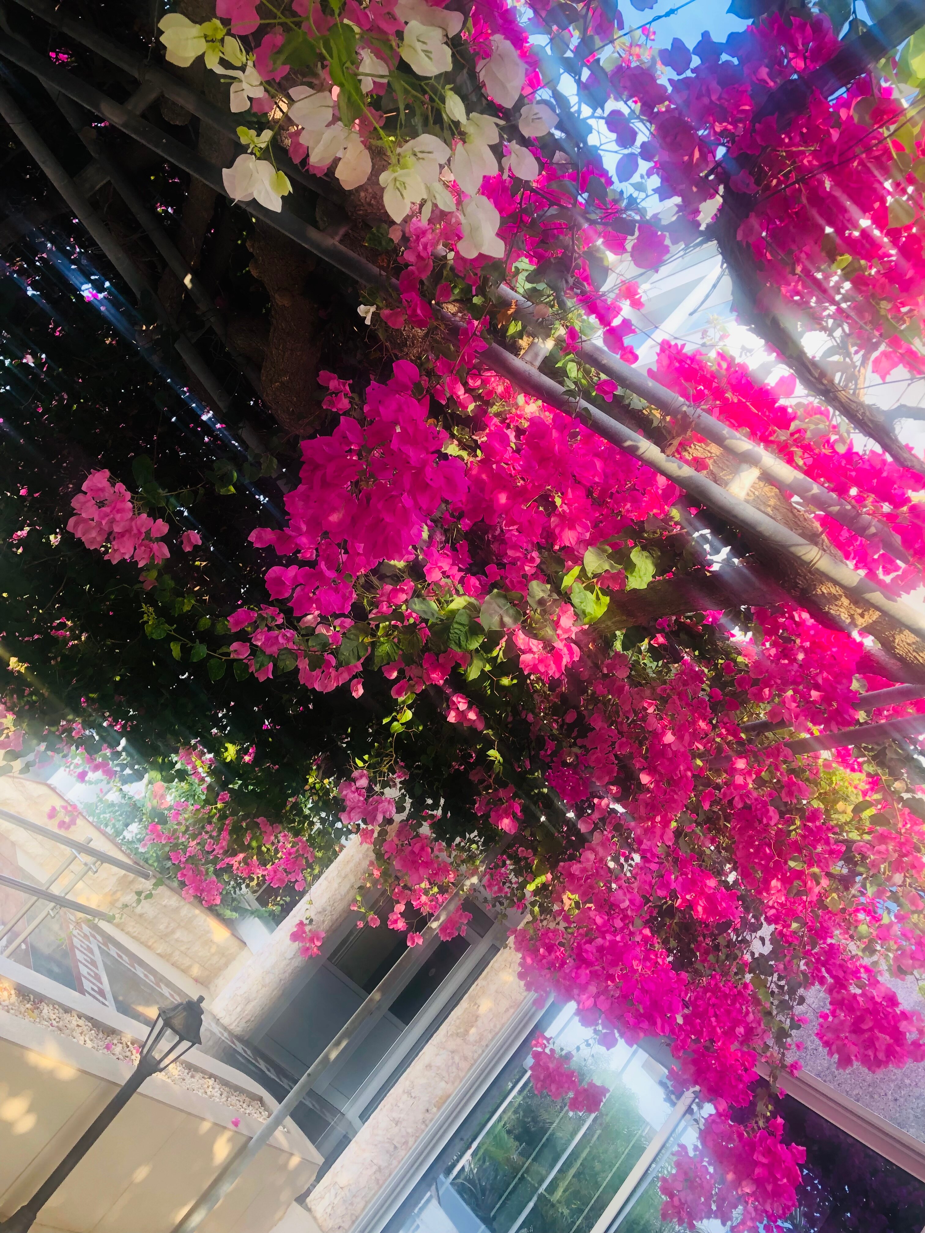 Фото Corfu Hotel