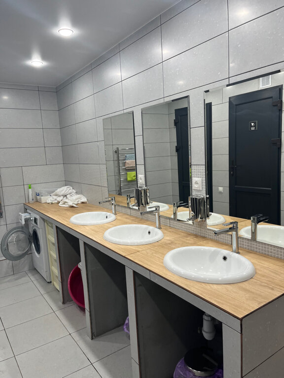 Фото Берёзка