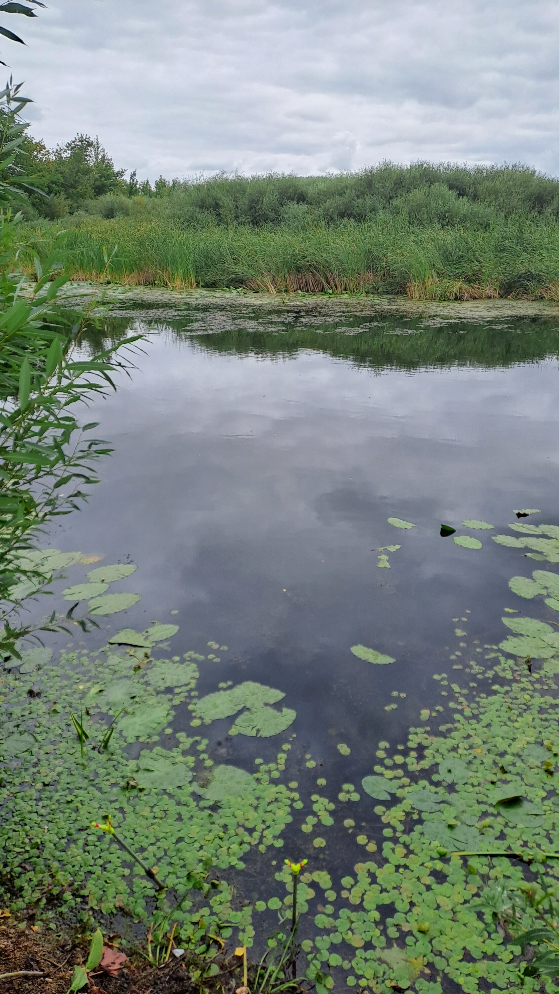 Фото Казачий Курень