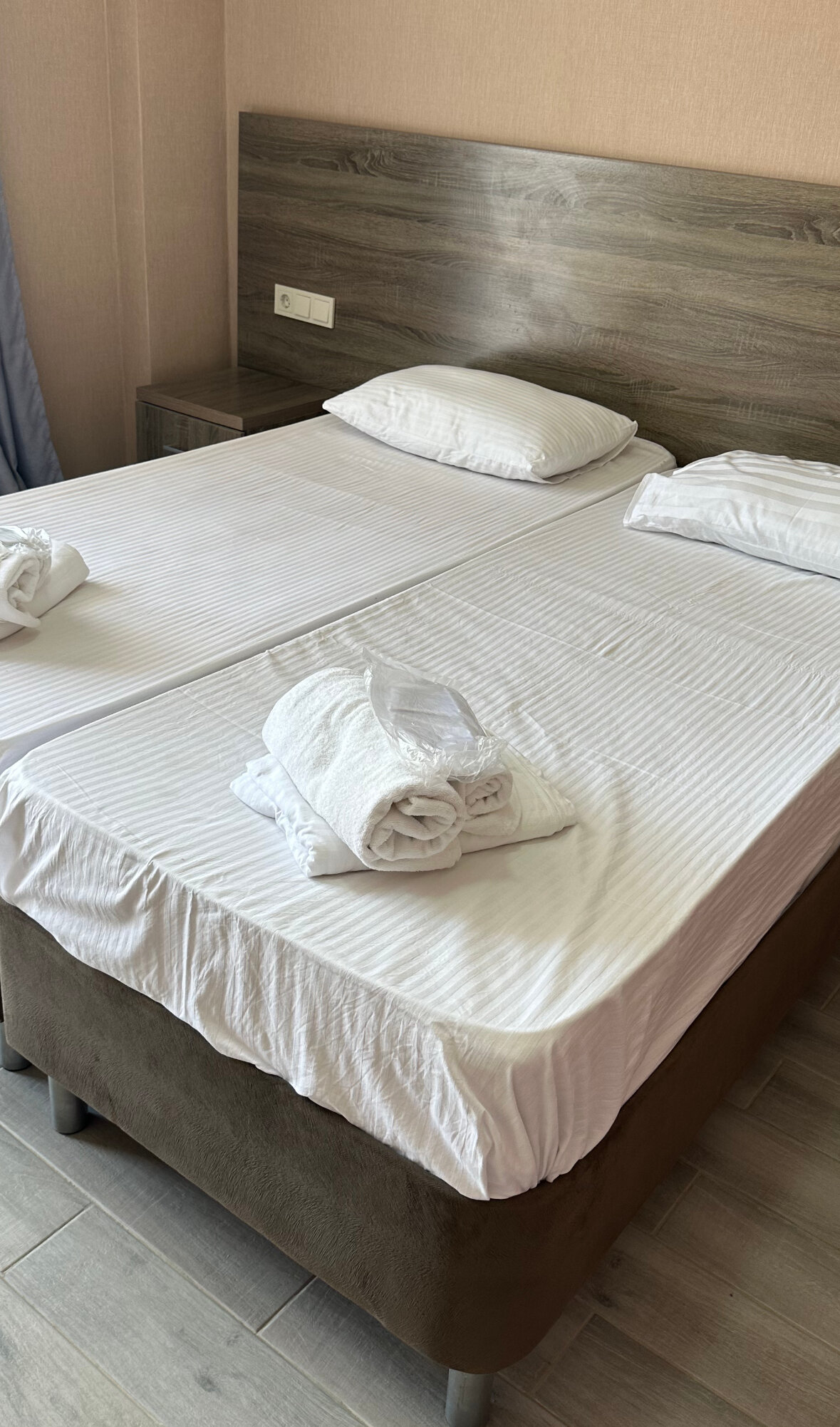 Фото Бугенвиллея