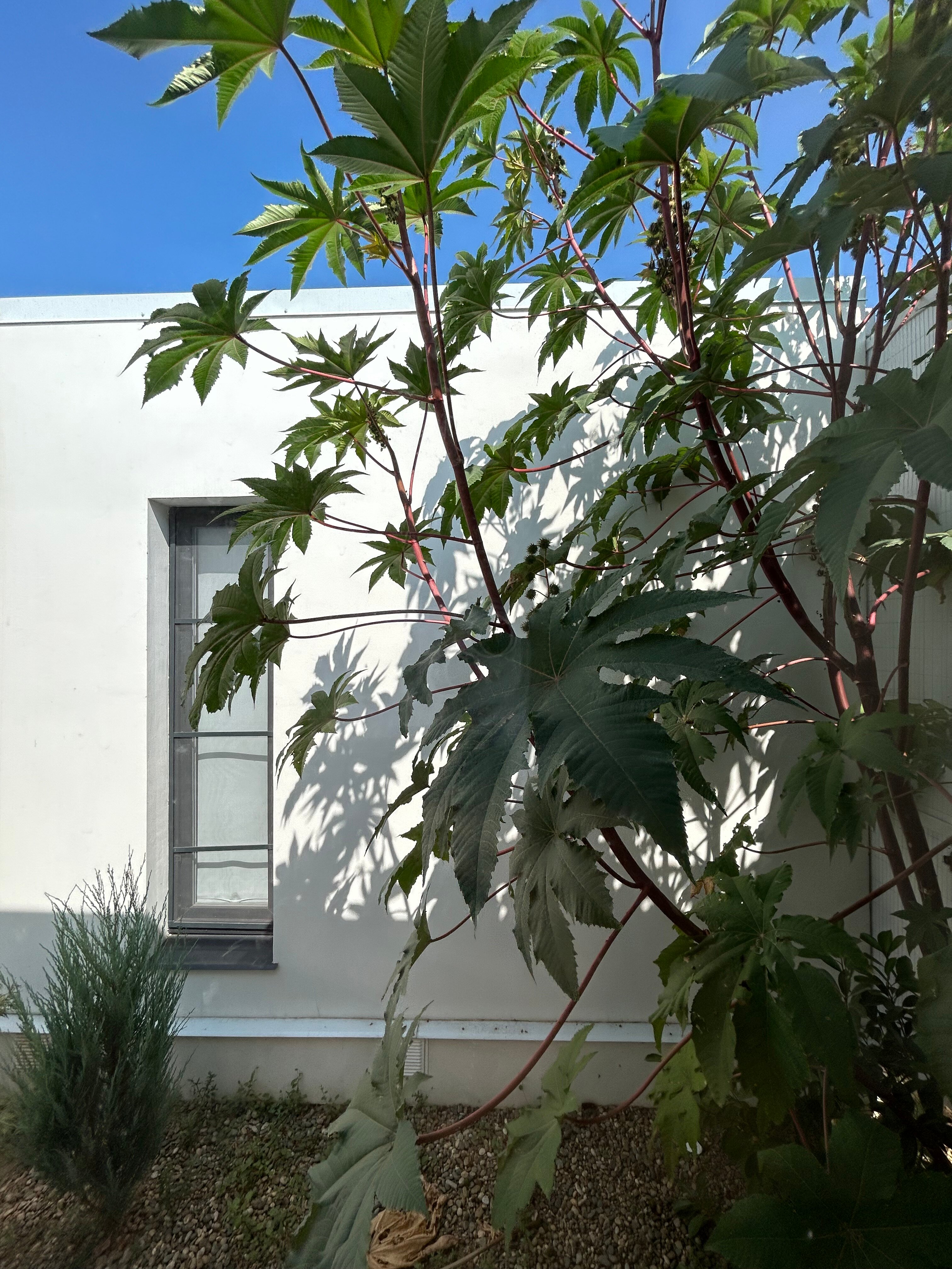 Фото Вилла 4 чайки