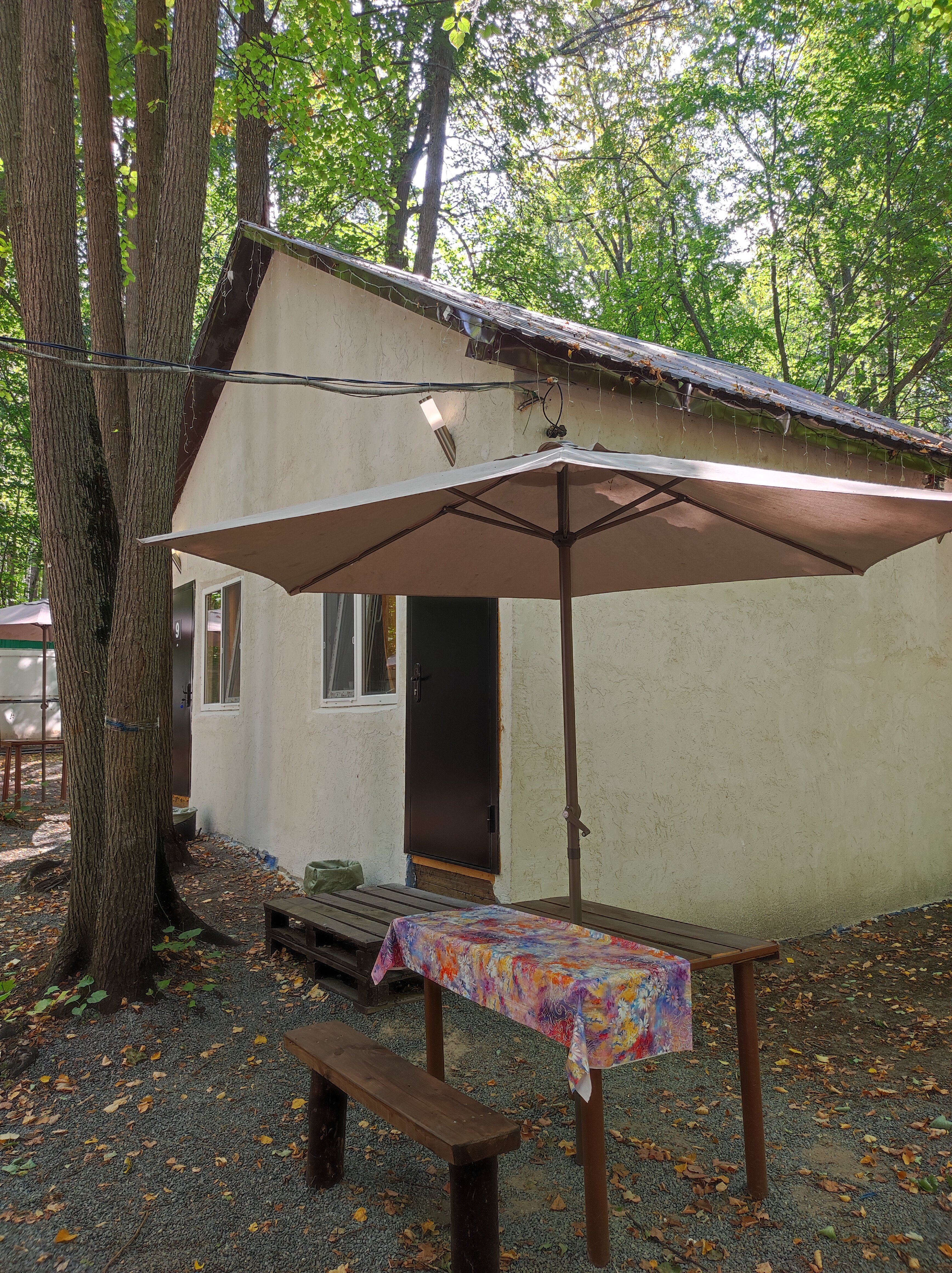 Фото Монте-Карло