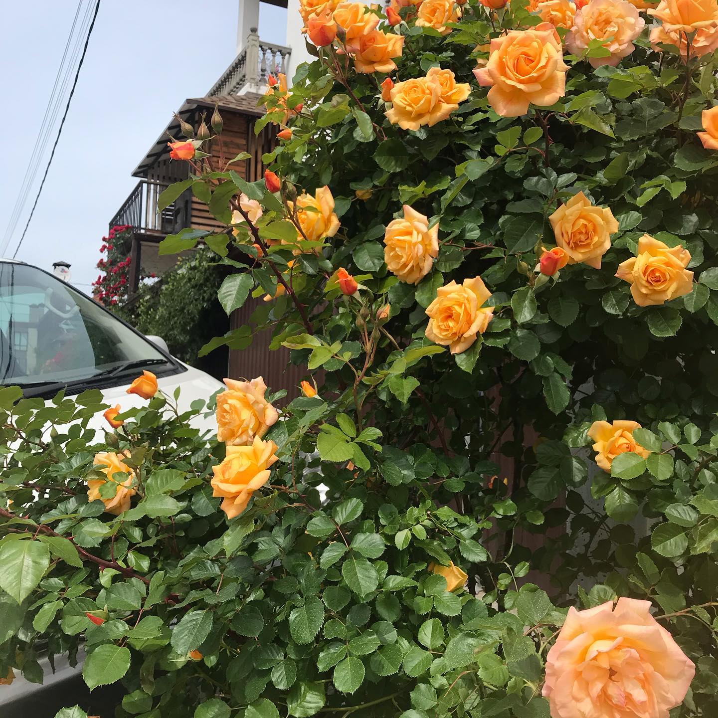 Фото Лофт Студии