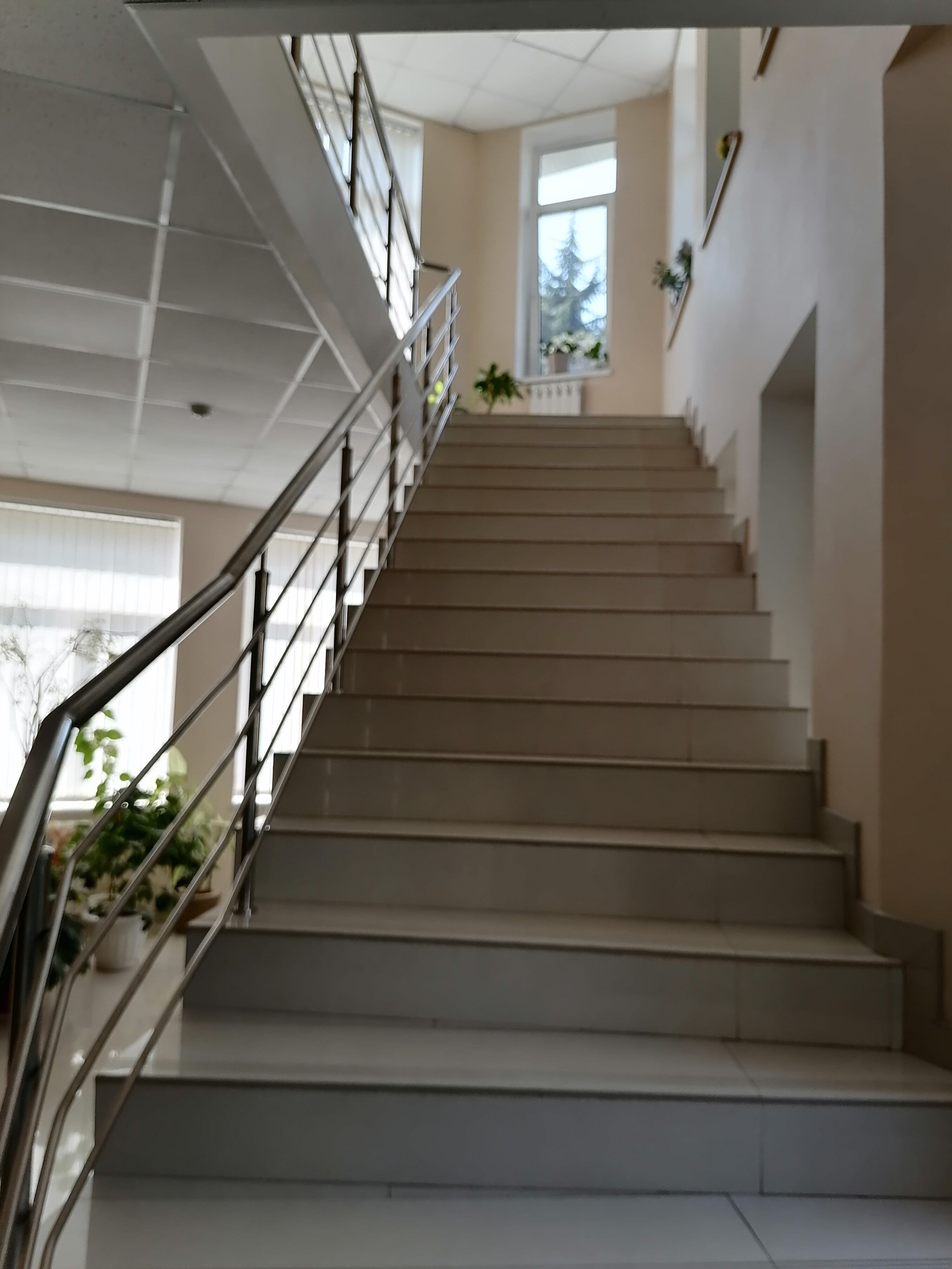 Фото Старая Хоста