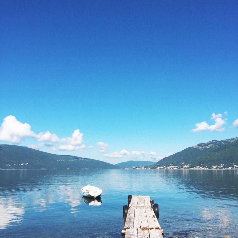 Фото Пальма