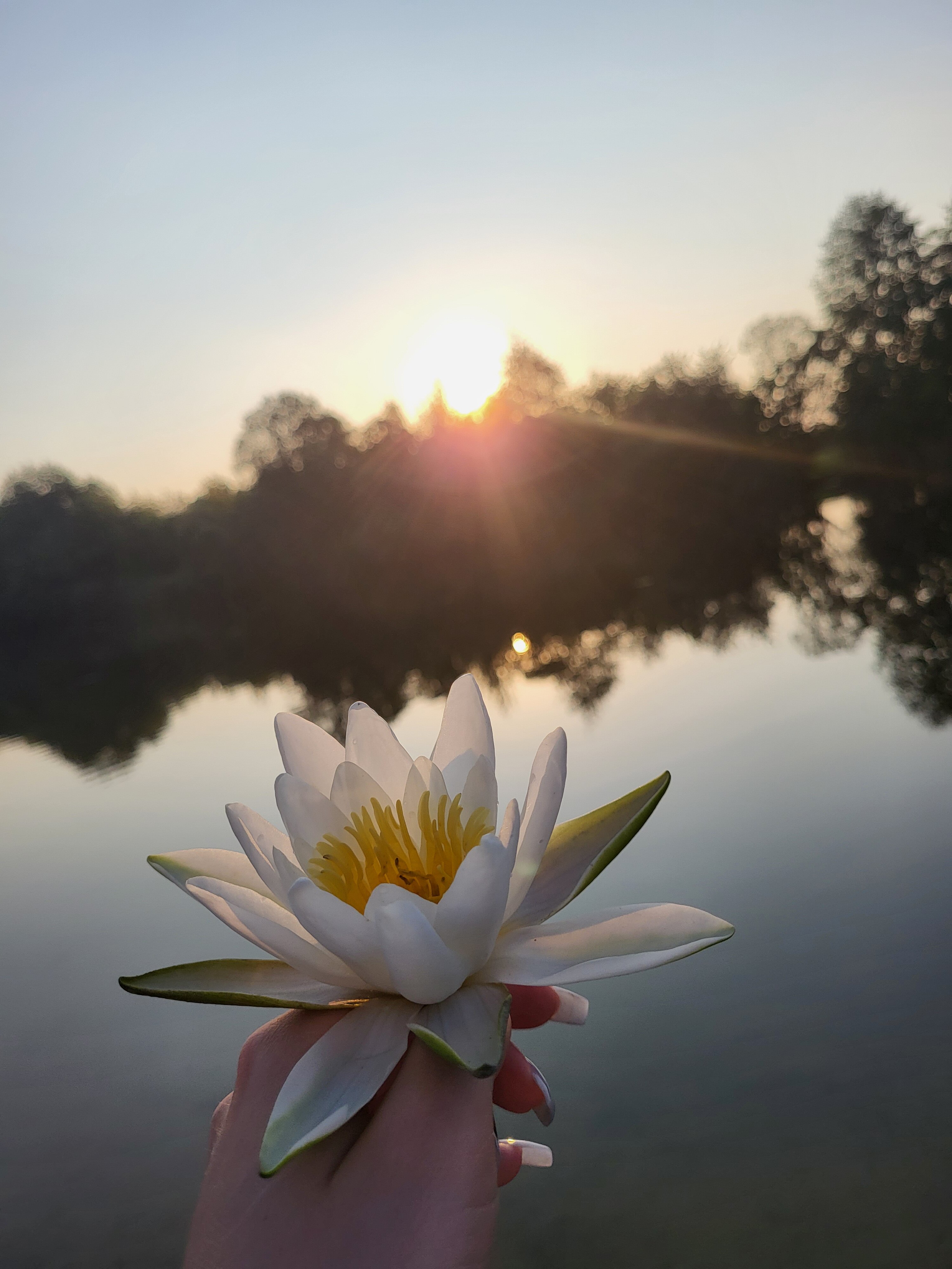 Фото Икорец