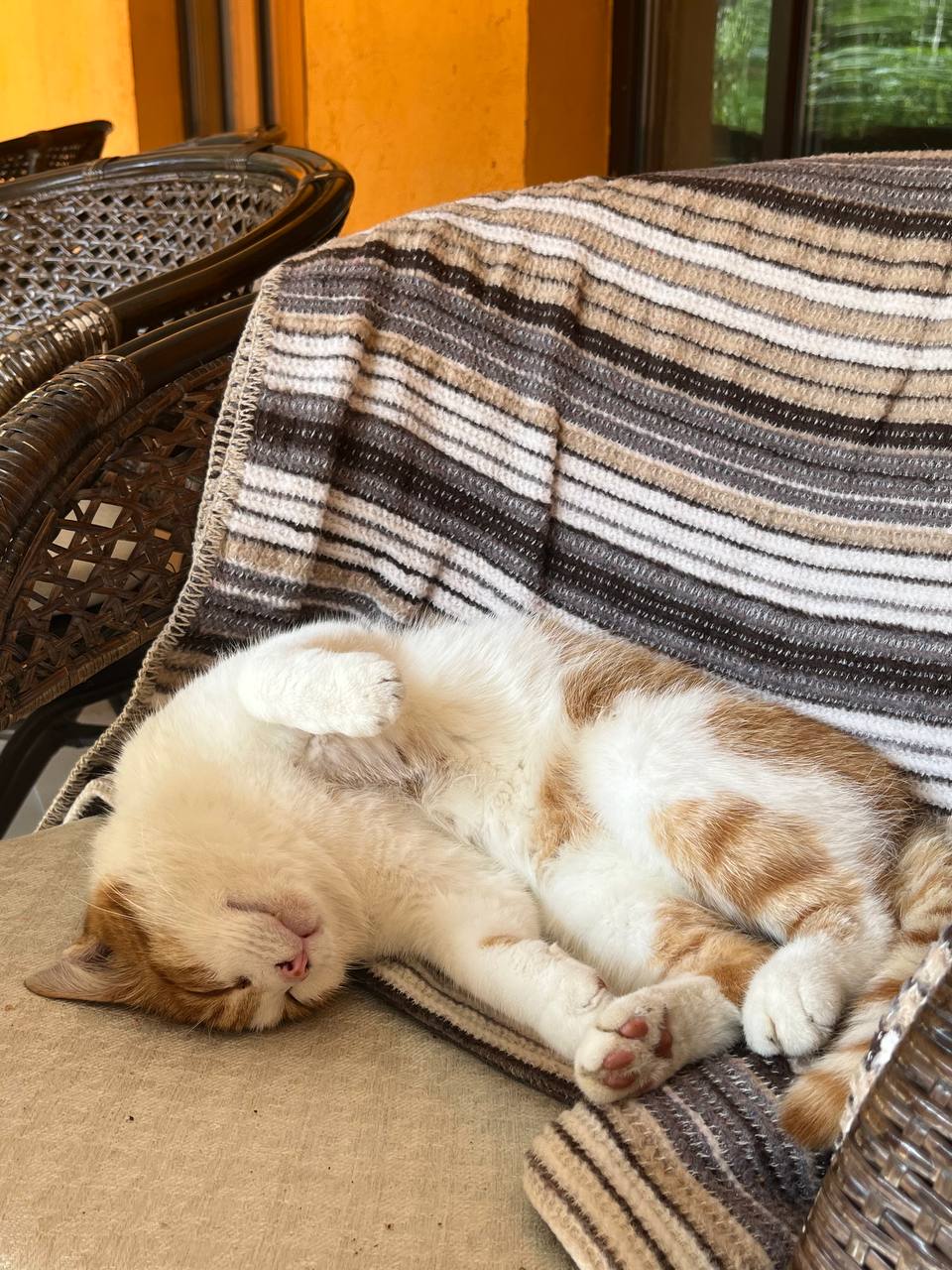 Фото Villa Boutique