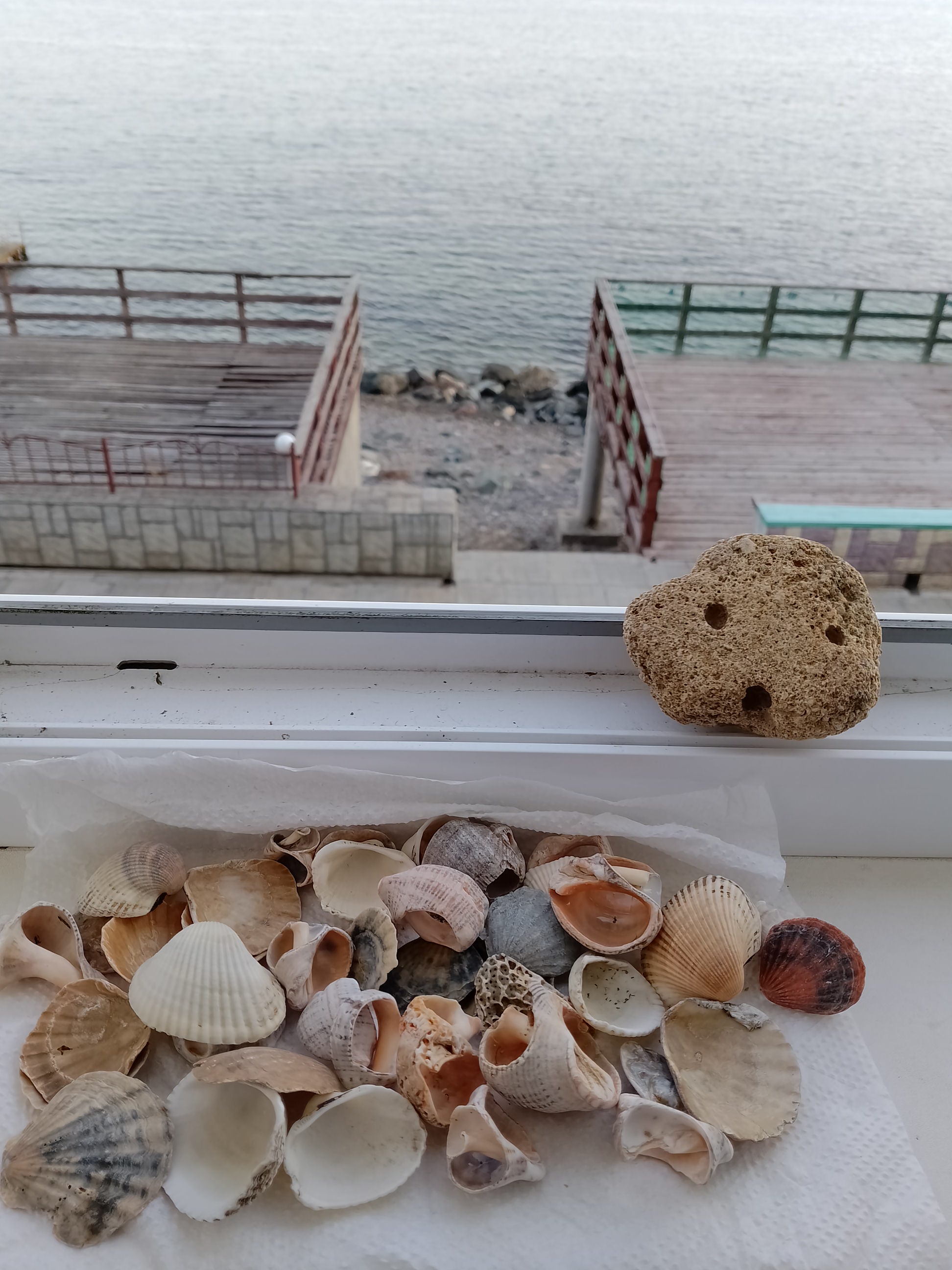 Фото Пять Ракушек