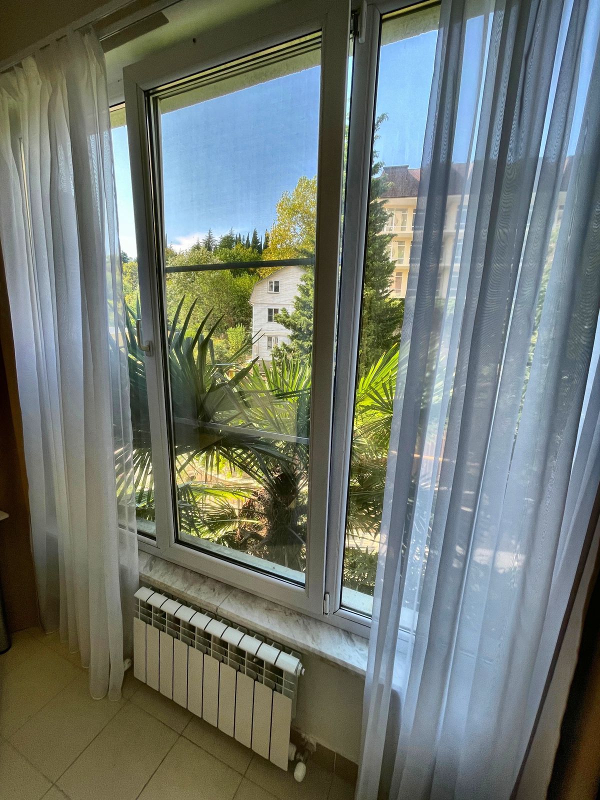 Фото Панда на Бамбуковой