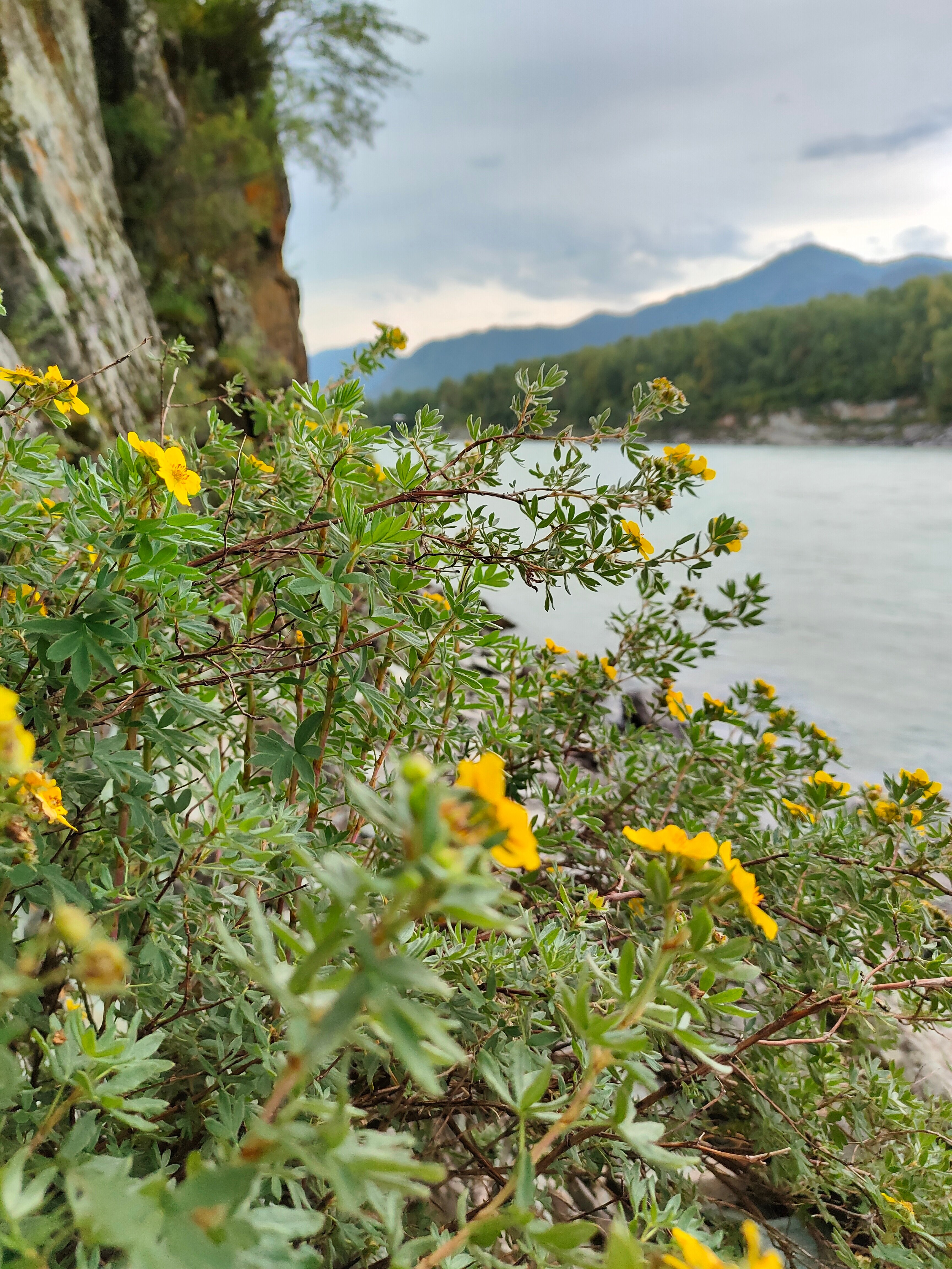 Фото Скай Алтай