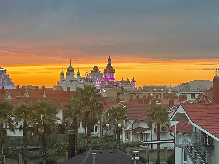 Фото Две оливы