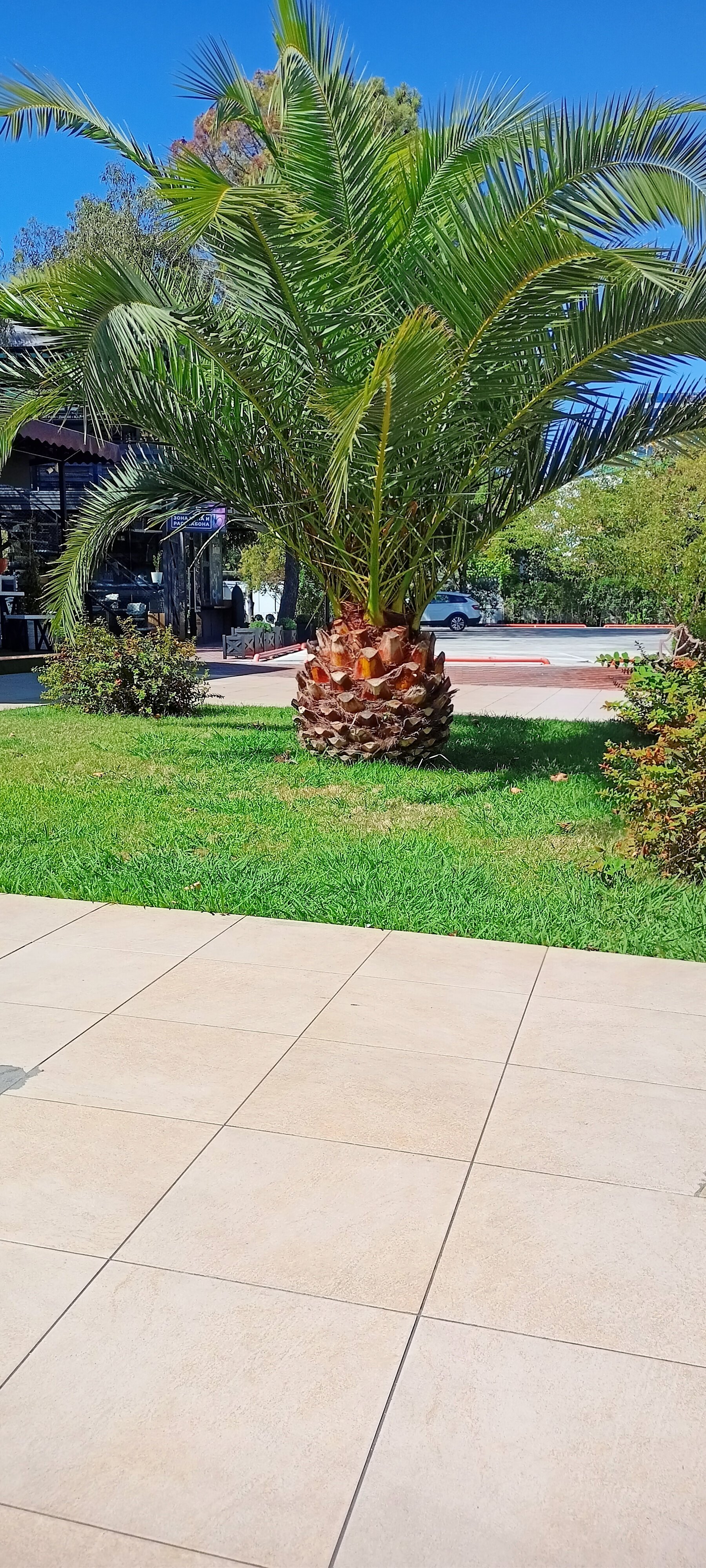 Фото Orange House