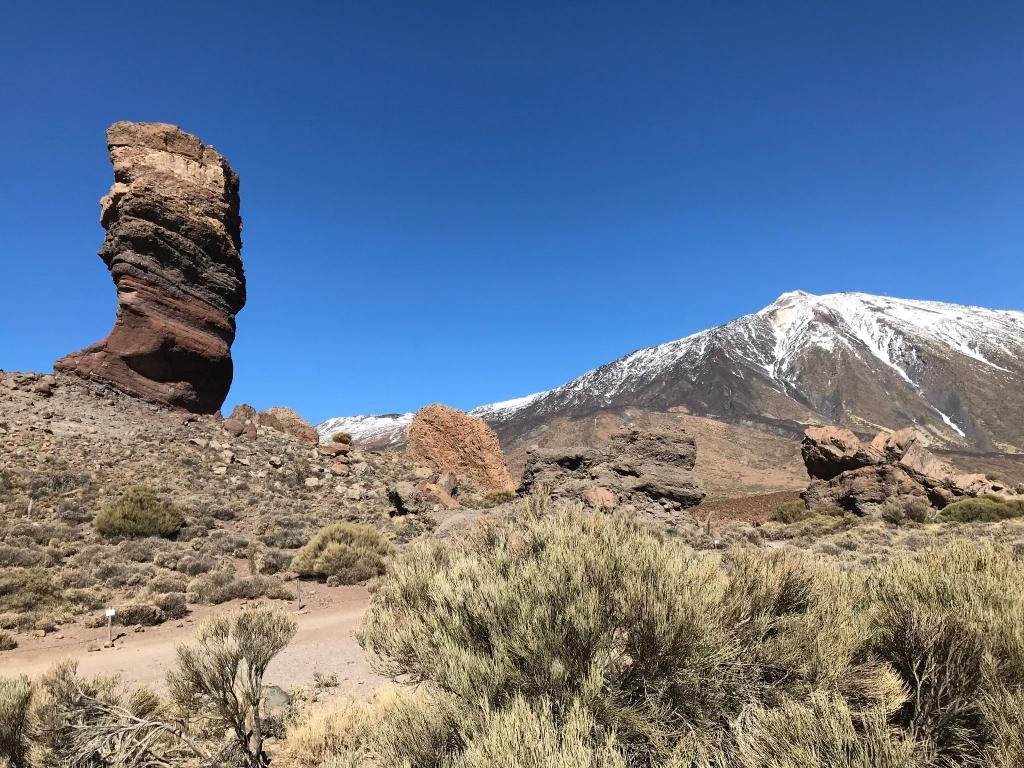 Фото Sol Tenerife