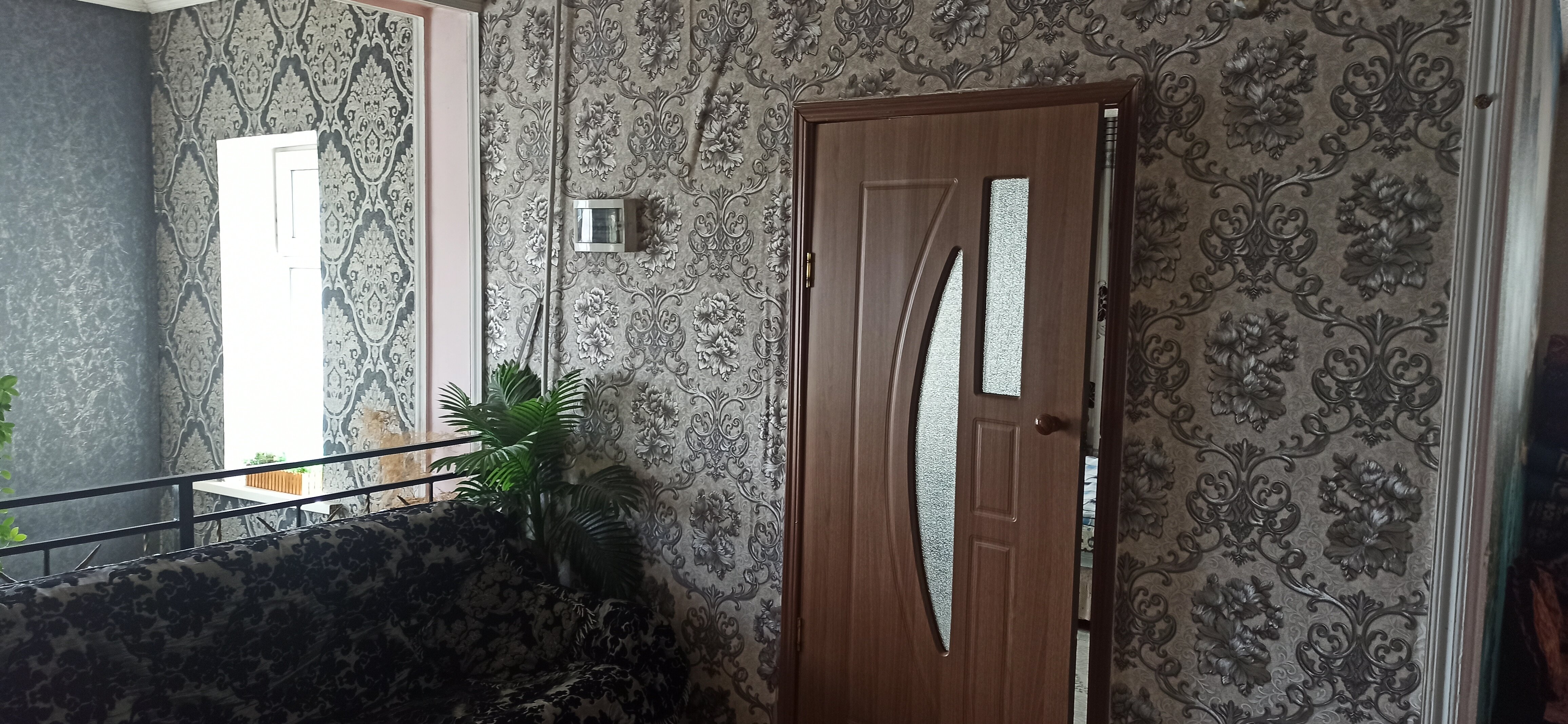 Фото Крокус