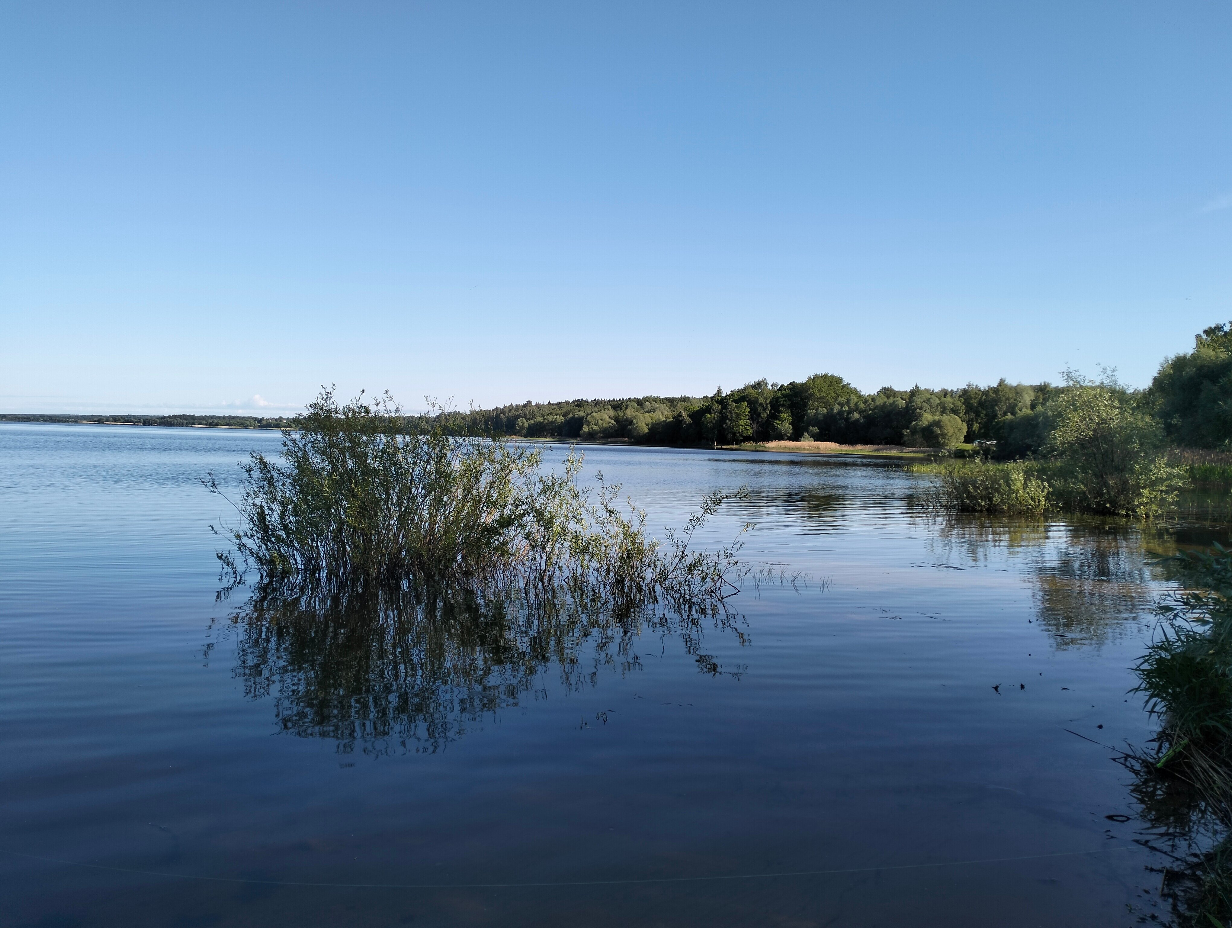 Фото Рузские Лужки