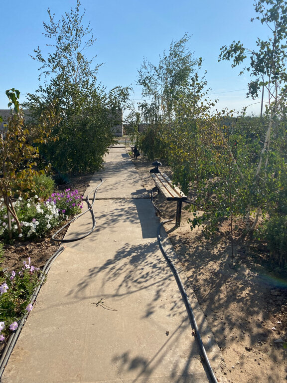 Фото Солнечный