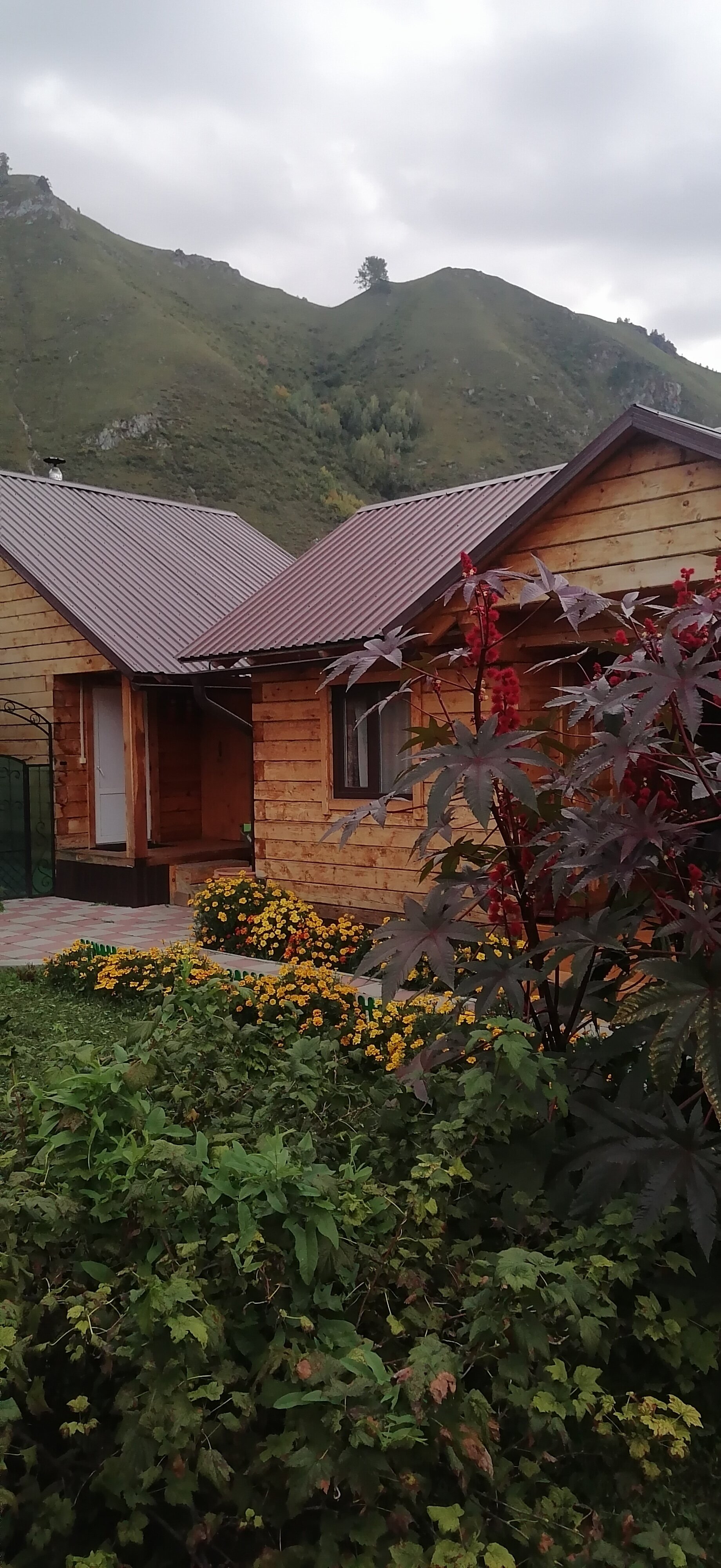 Фото Отдохни