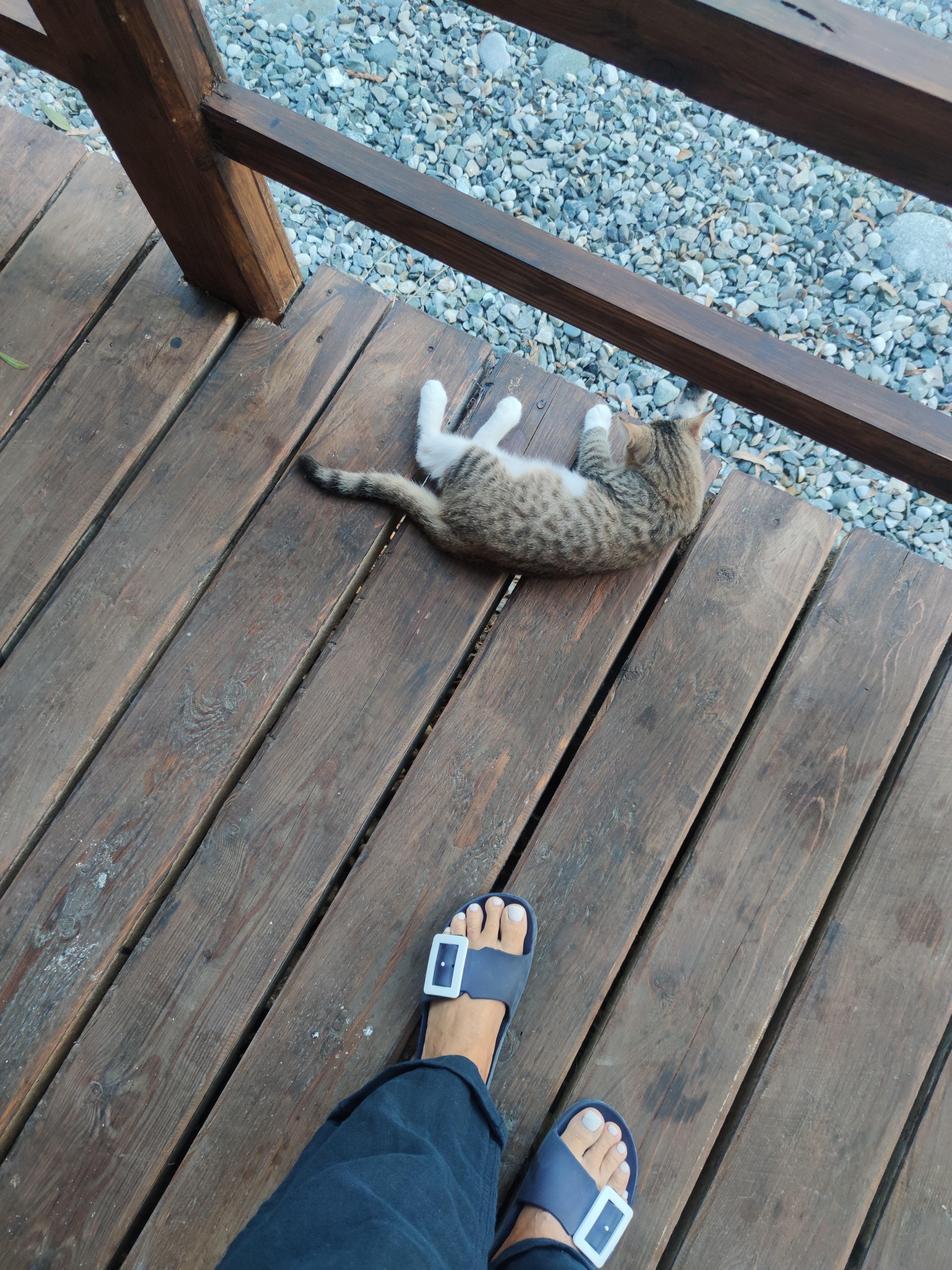 Фото База отдыха Асса