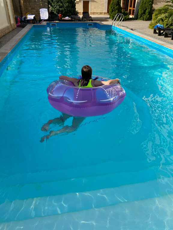 Фото Орхидея