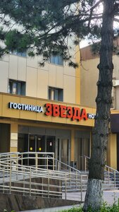Звезда