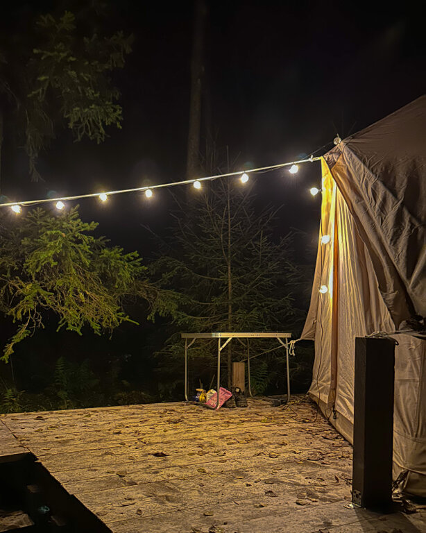 Фото Котопельто