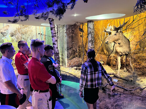 Музей природы Беловежской пущи, музей, Брестская область, Каменюкский сельсовет — Яндекс Карты