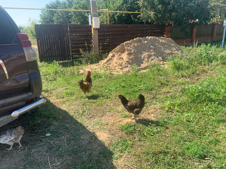 Фото Камское house