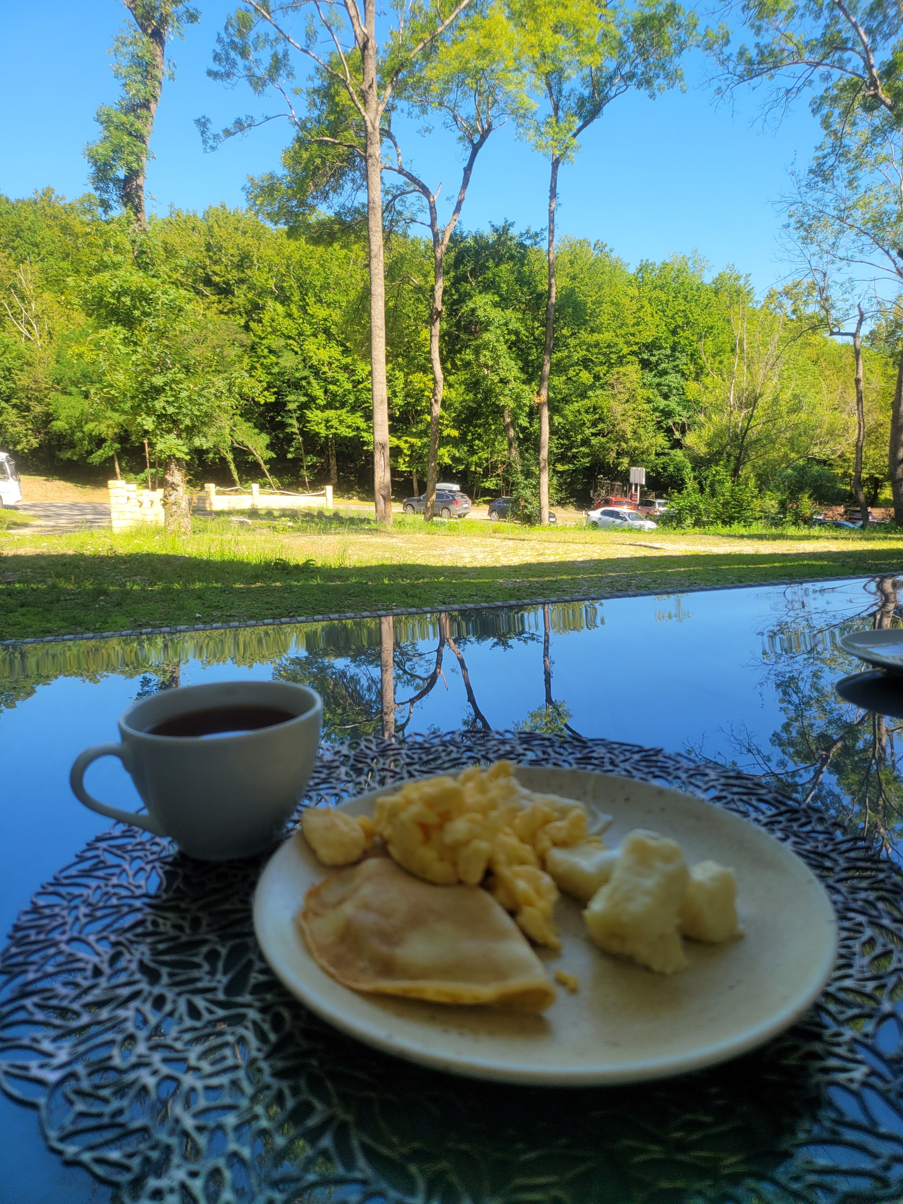 Фото Примула