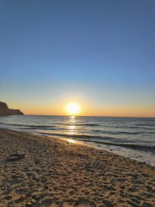 Кипарис