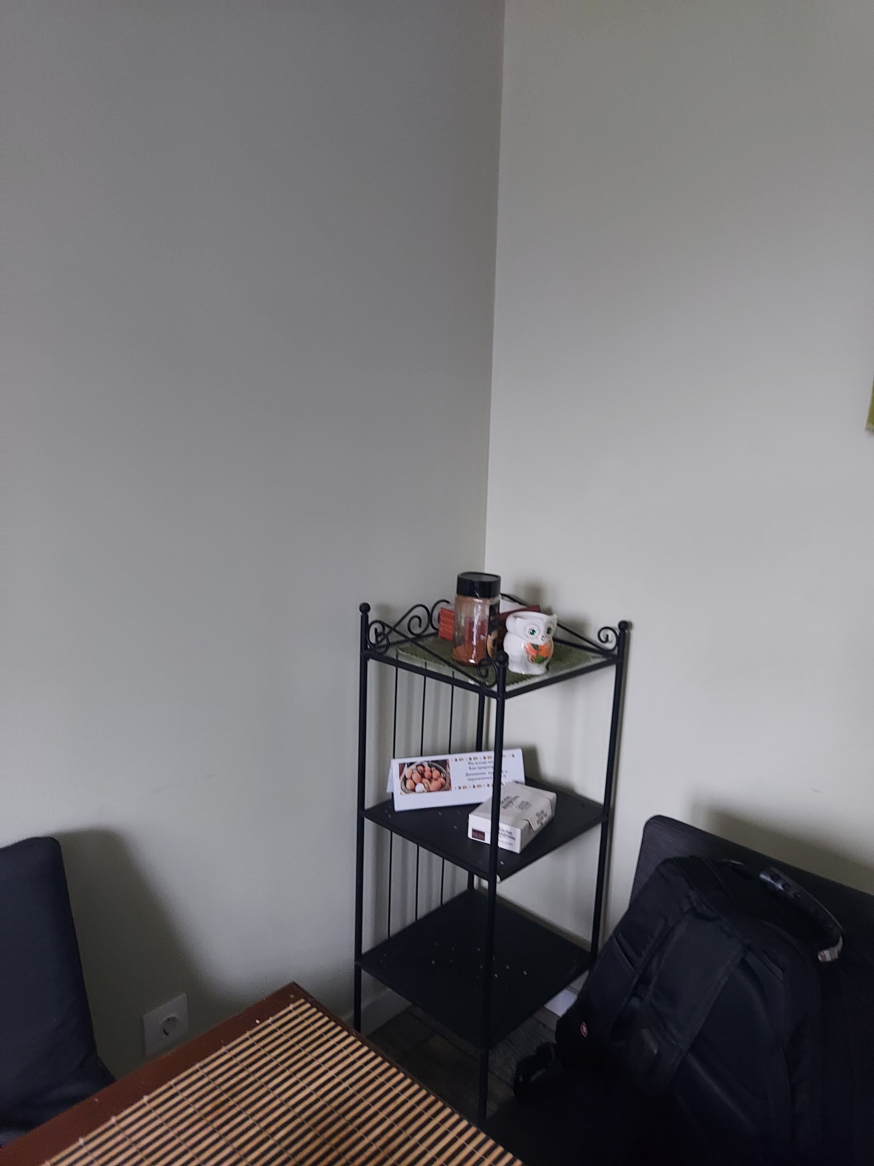 Фото Сова в Шереметьево