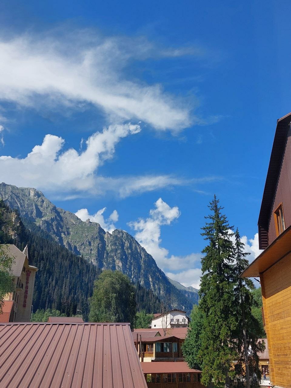 Фото Лесная Сказка