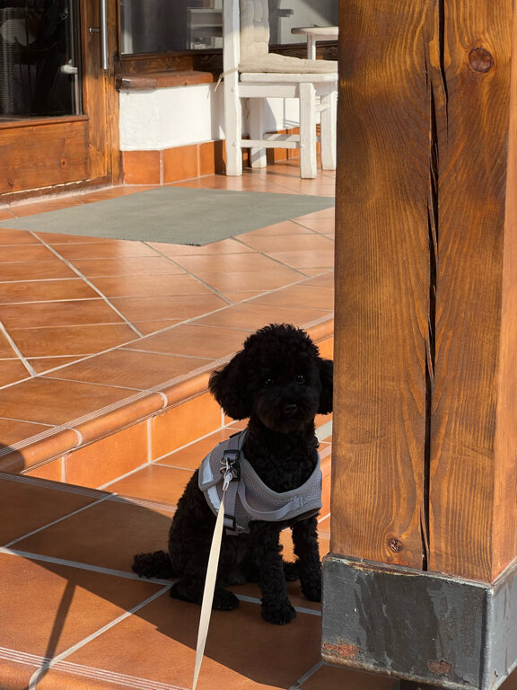 Фото Co-Co Village