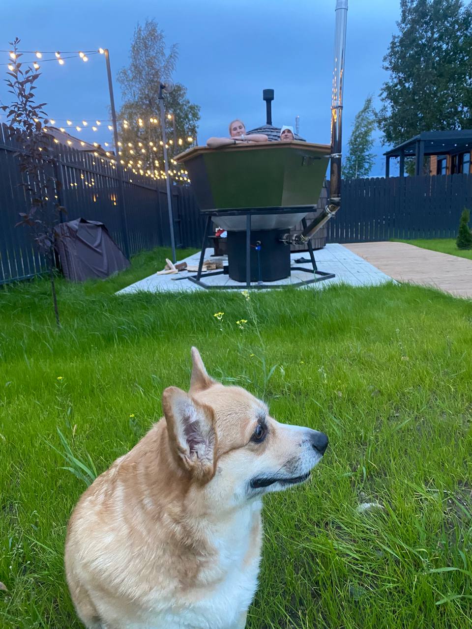 Фото Блэк Вилладж Фэмили