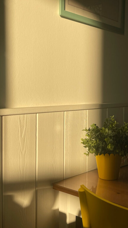 Фото Алиса, привет!