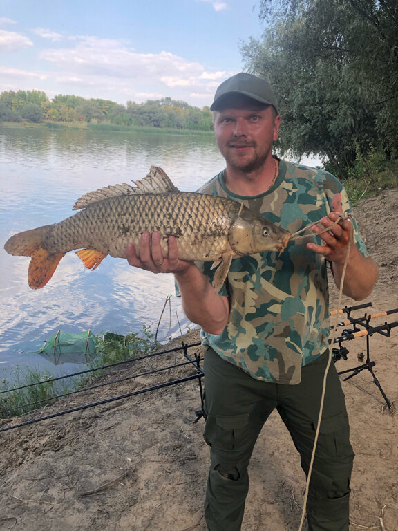 Фото Камышовый рай