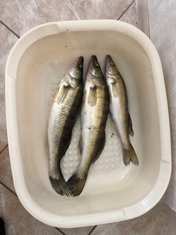 Фото Любимый причал