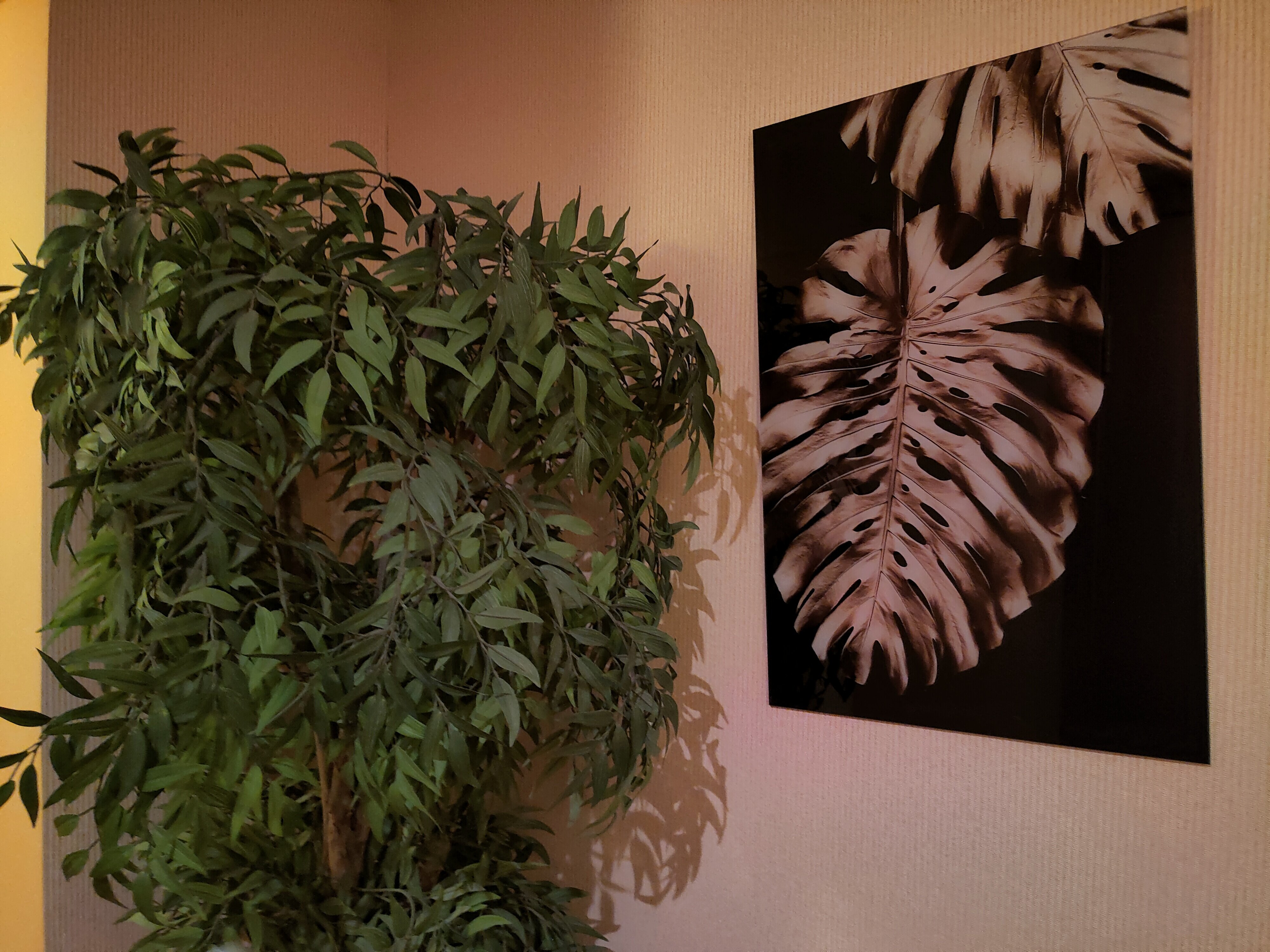 Фото Апельсин