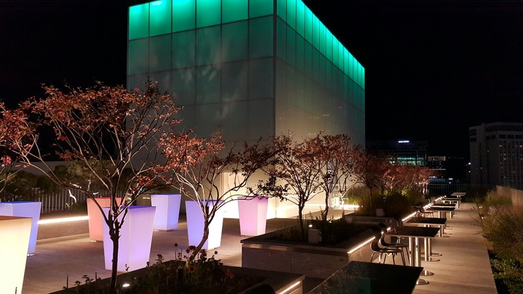 Фото Sotetsu Hotels The Splaisir Seoul Myeong Dong