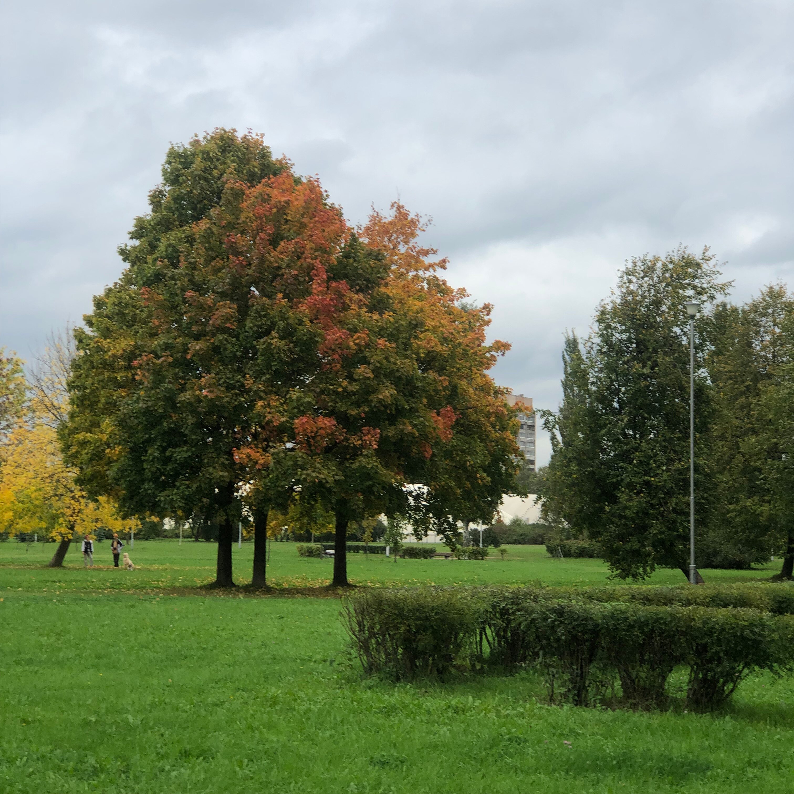 Фото Карелия