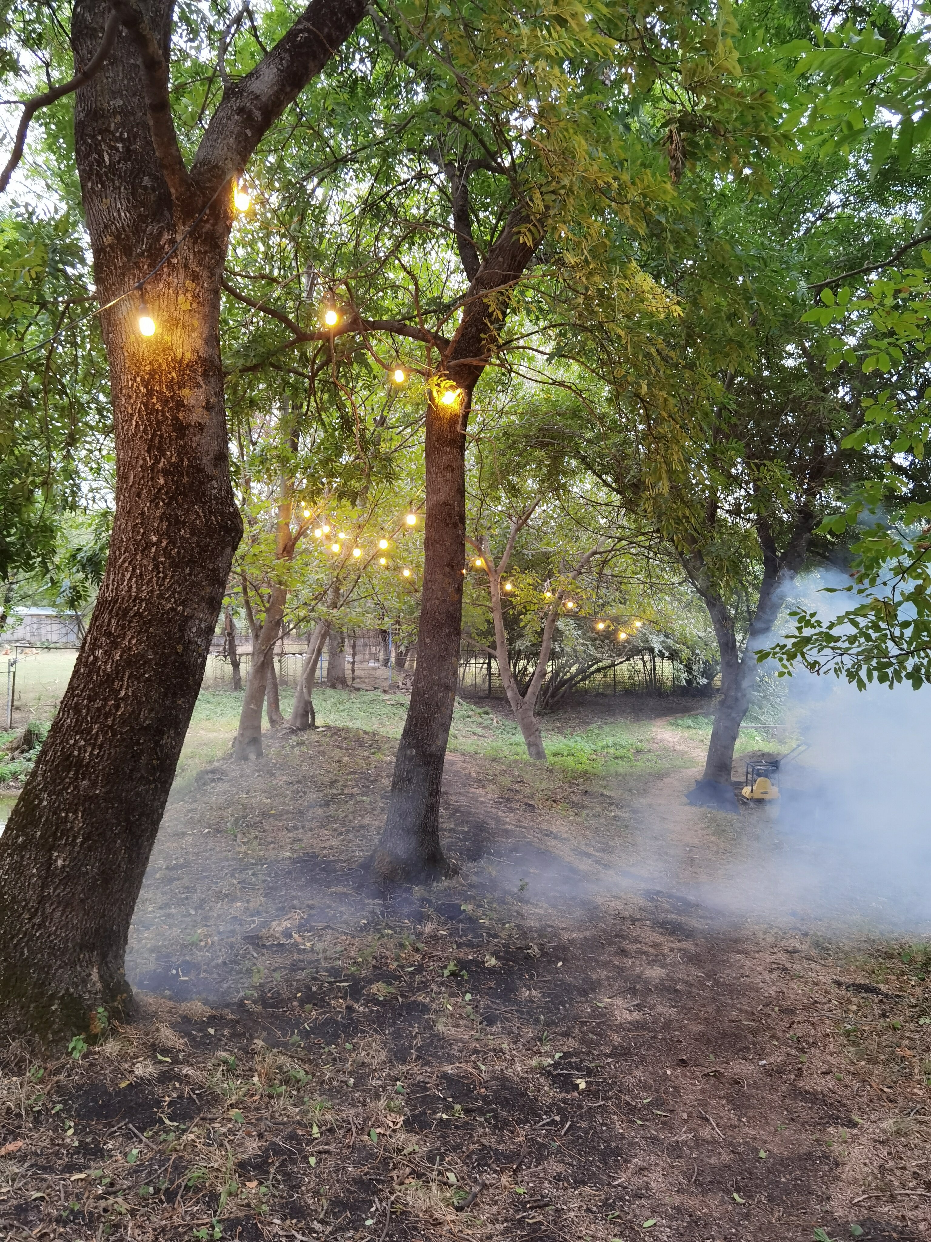 Фото Тихий пруд