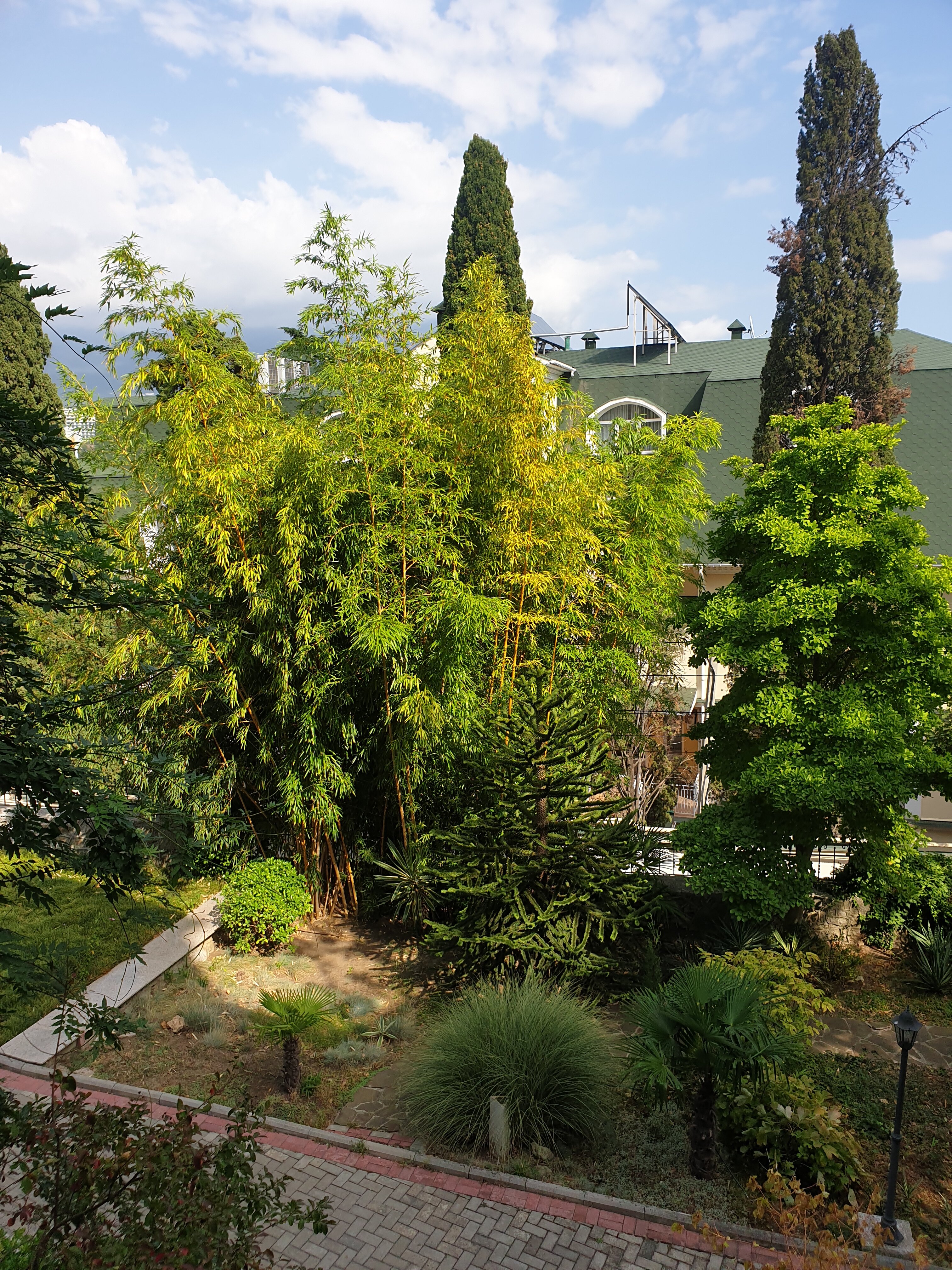 Фото Чайная горка