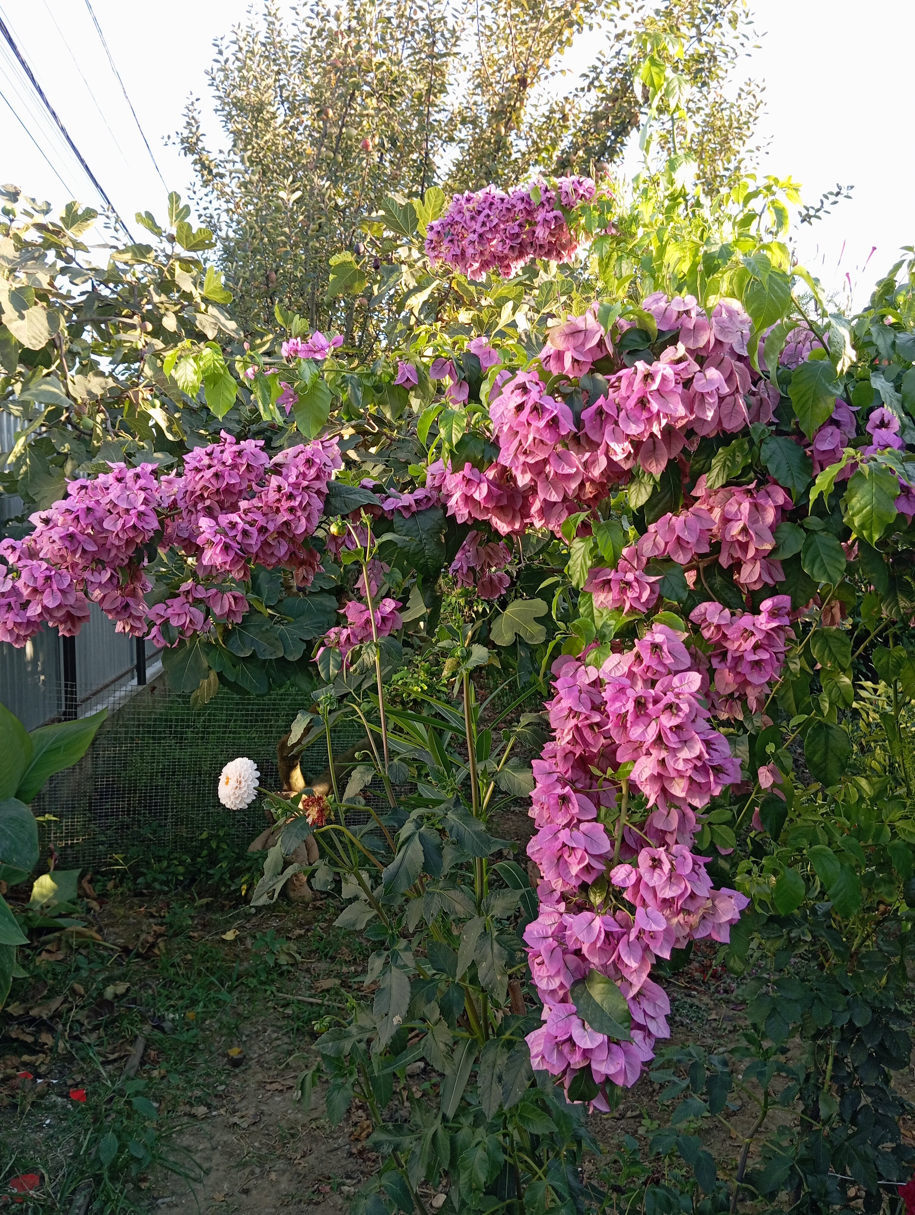 Фото у Норика и Сусанны