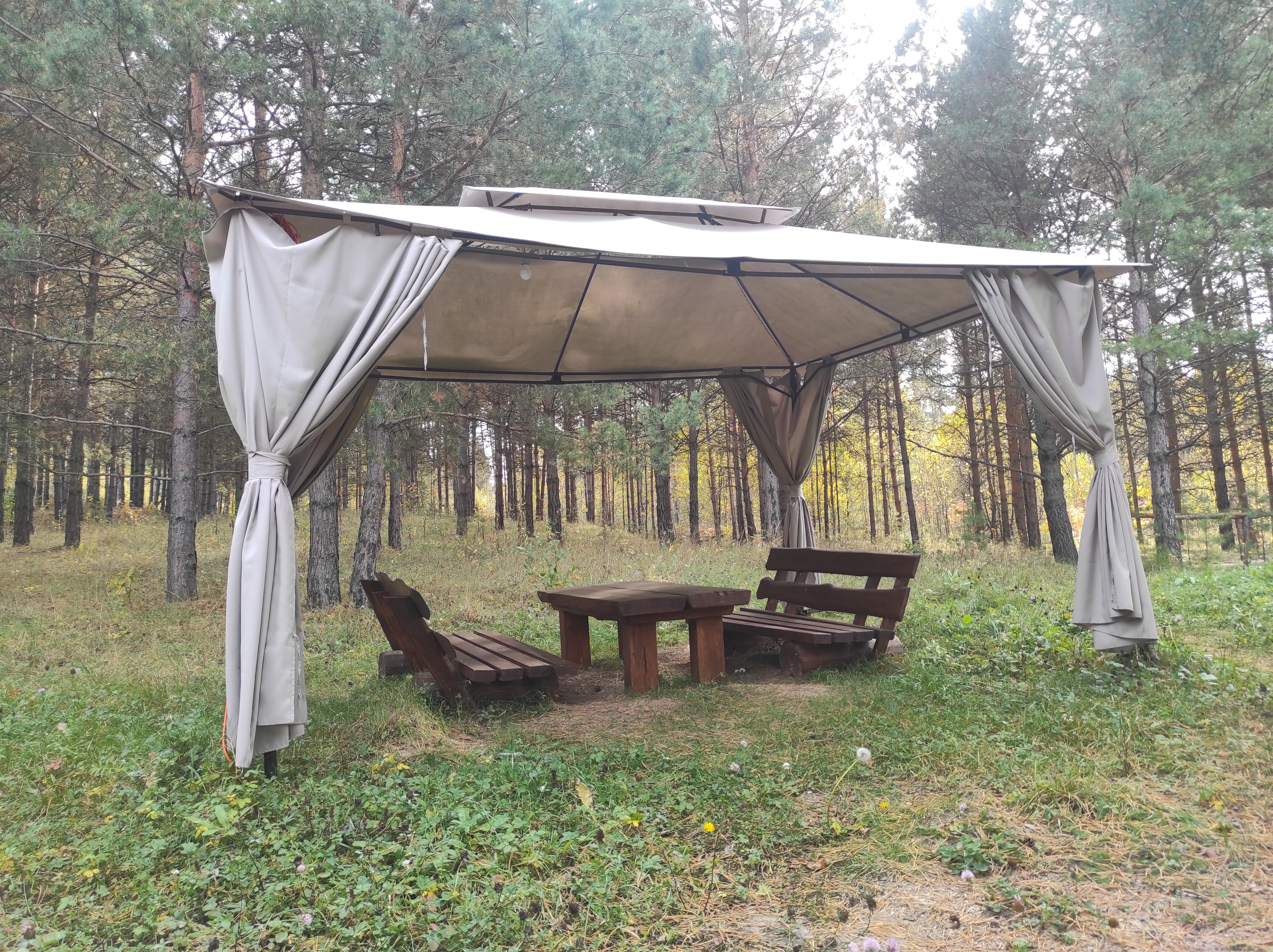 Фото Парк Чёшталей