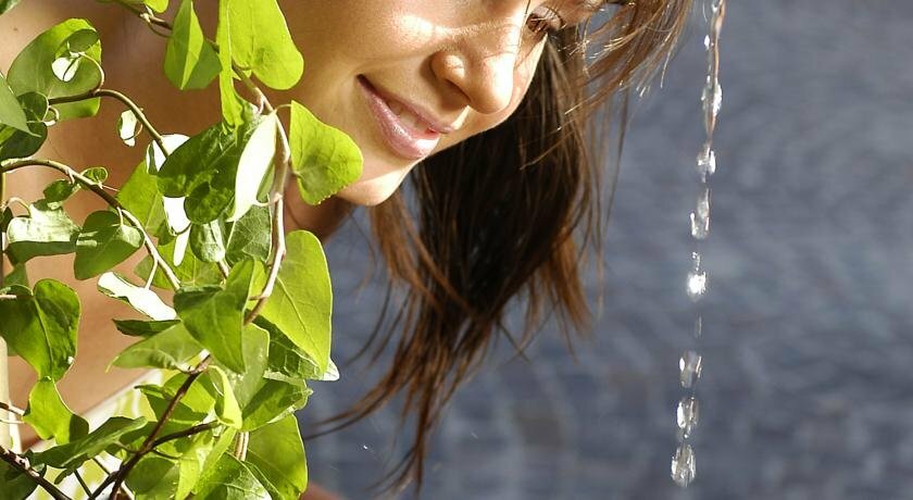 Фото Hotel Krone - eat, drink, stay