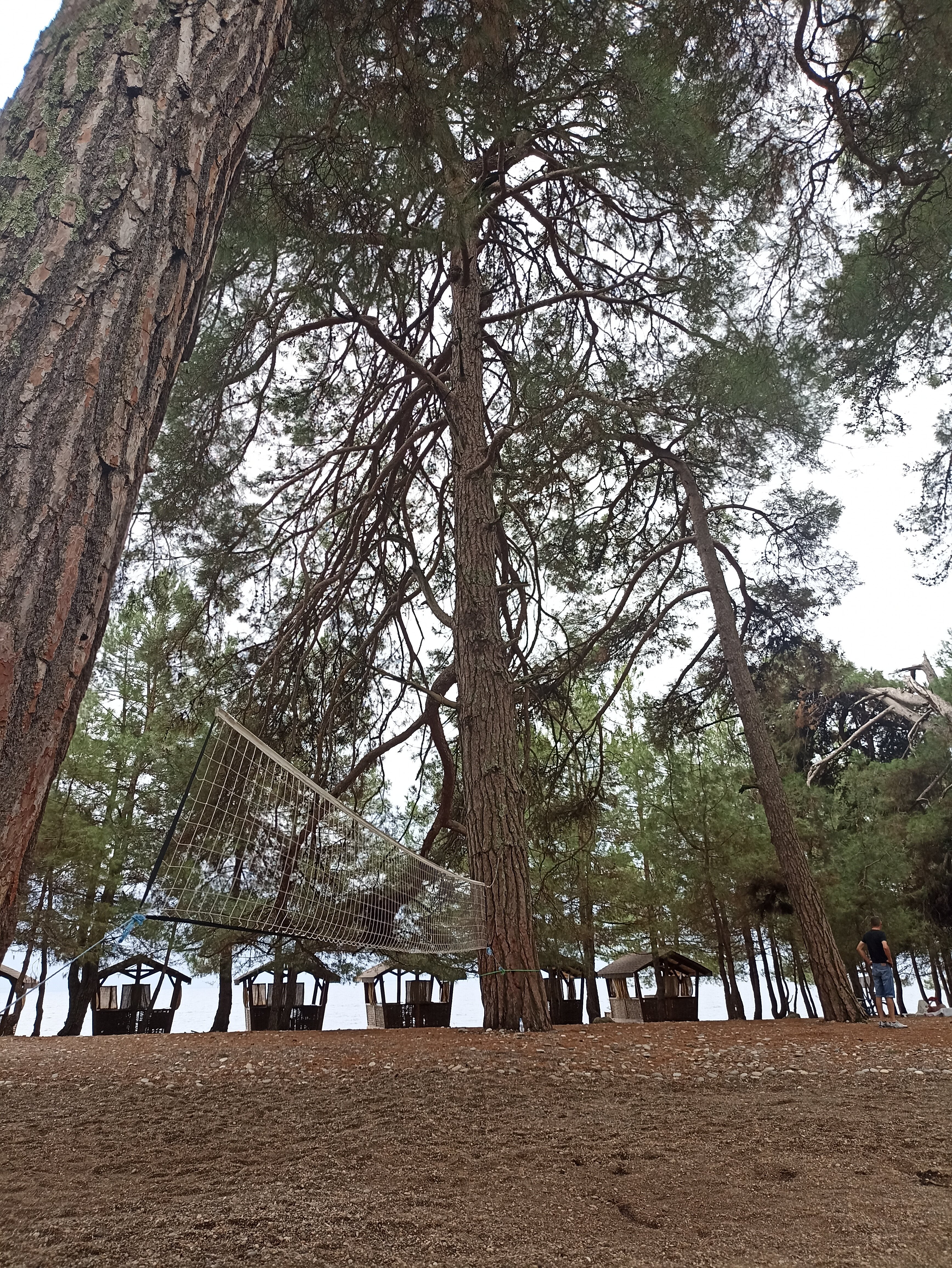 Фото Ривьера Пицунда