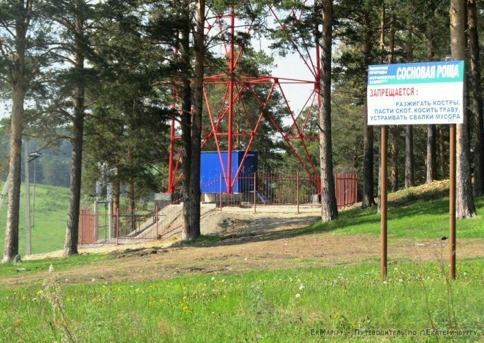 Армхинская Сосновая роща